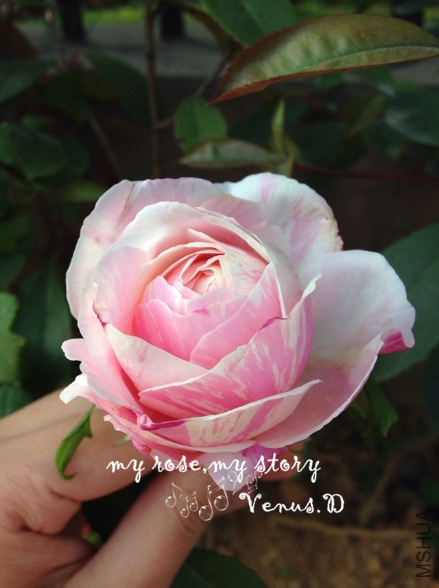 2014.4.14-1.JPG
