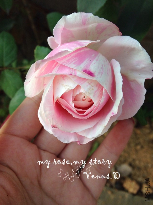 2014.4.14-2.JPG