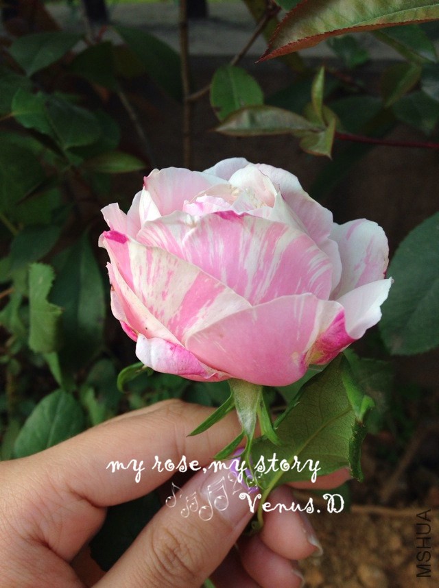 2014.4.14-3.JPG