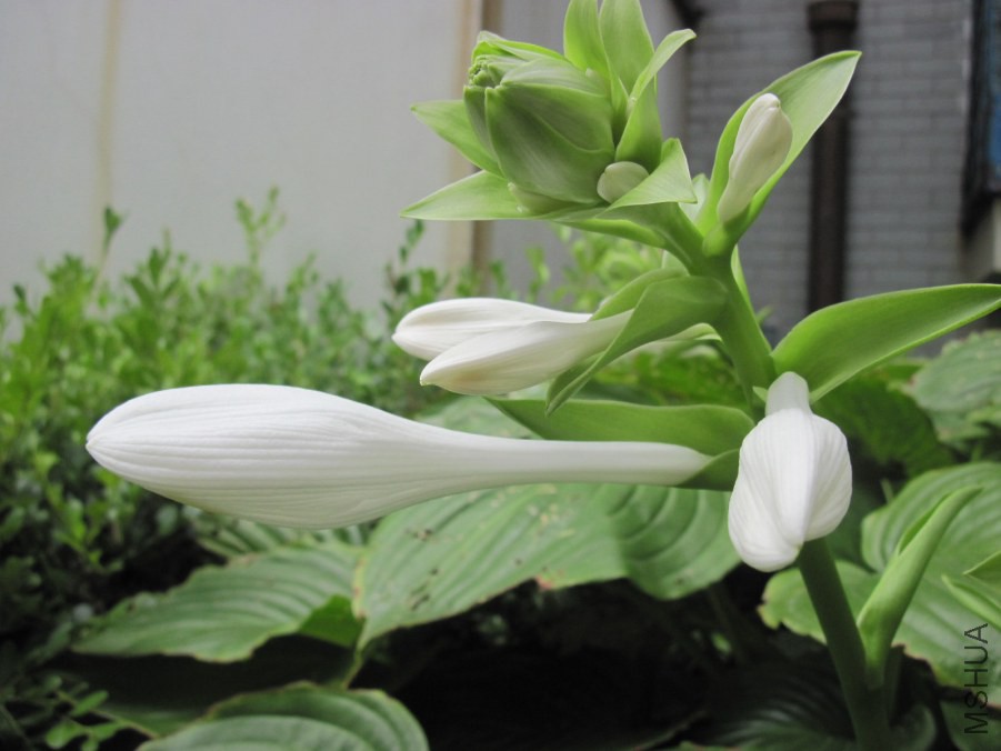 xiang 021_����.jpg