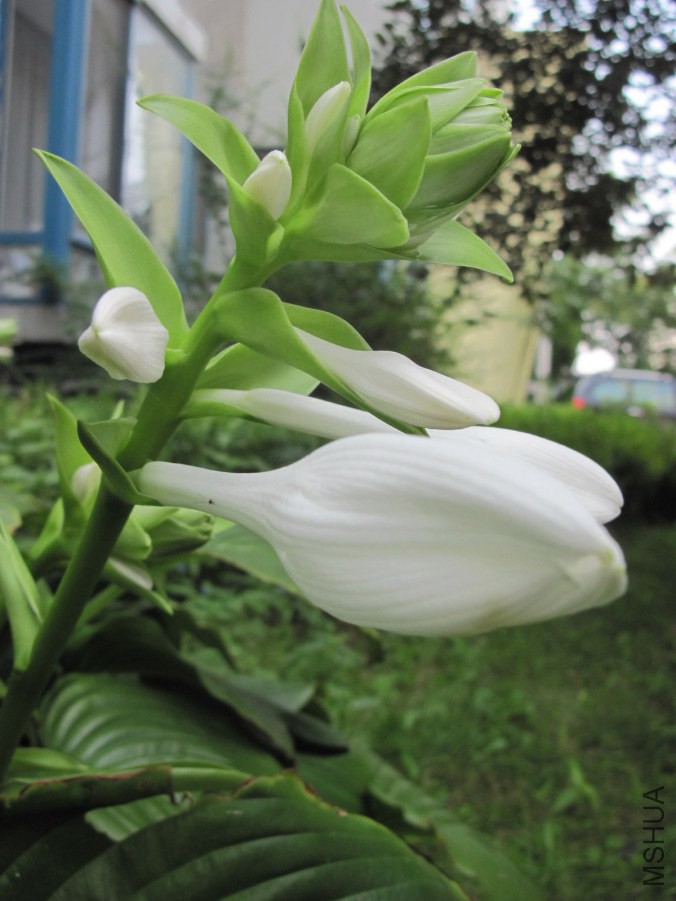 xiang 022_����.jpg