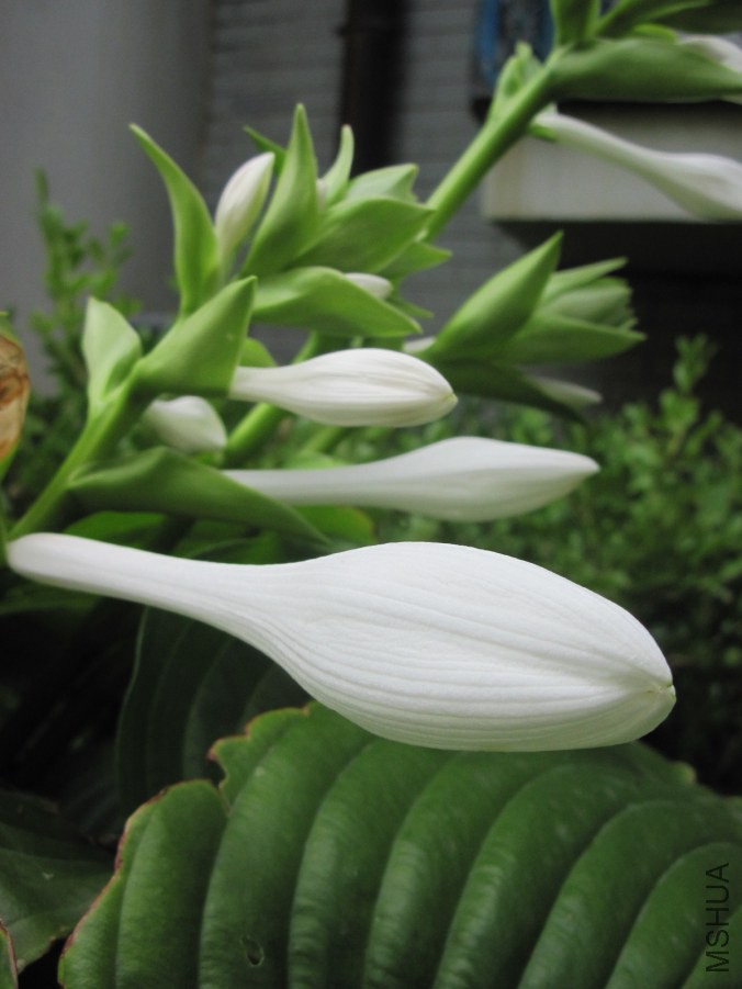 xiang 024_����.jpg