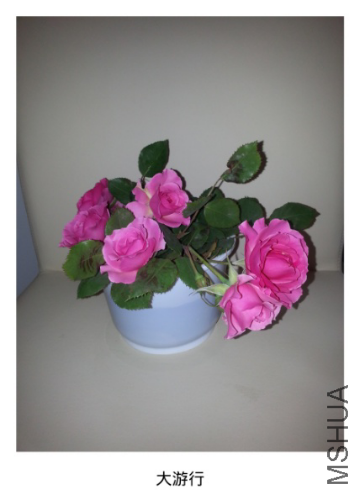 IMG_20140826_204835.jpg