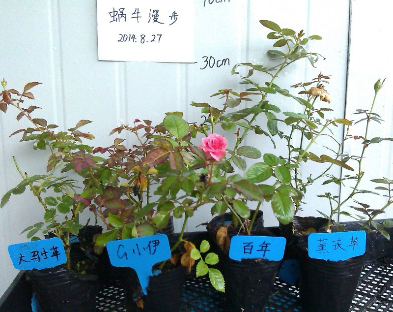 IMAG5041.jpg