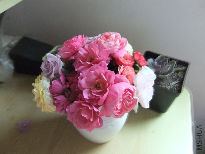 DSCF3697_����.jpg