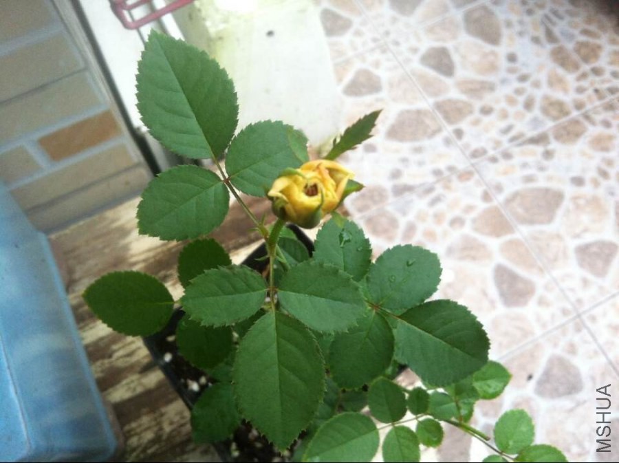 QQͼƬ20140829100413.jpg