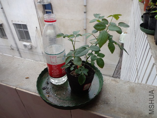 DSC04579.JPG
