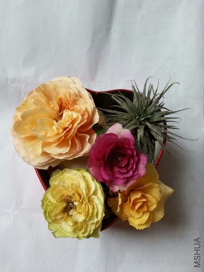 QQͼƬ20140829165624.jpg