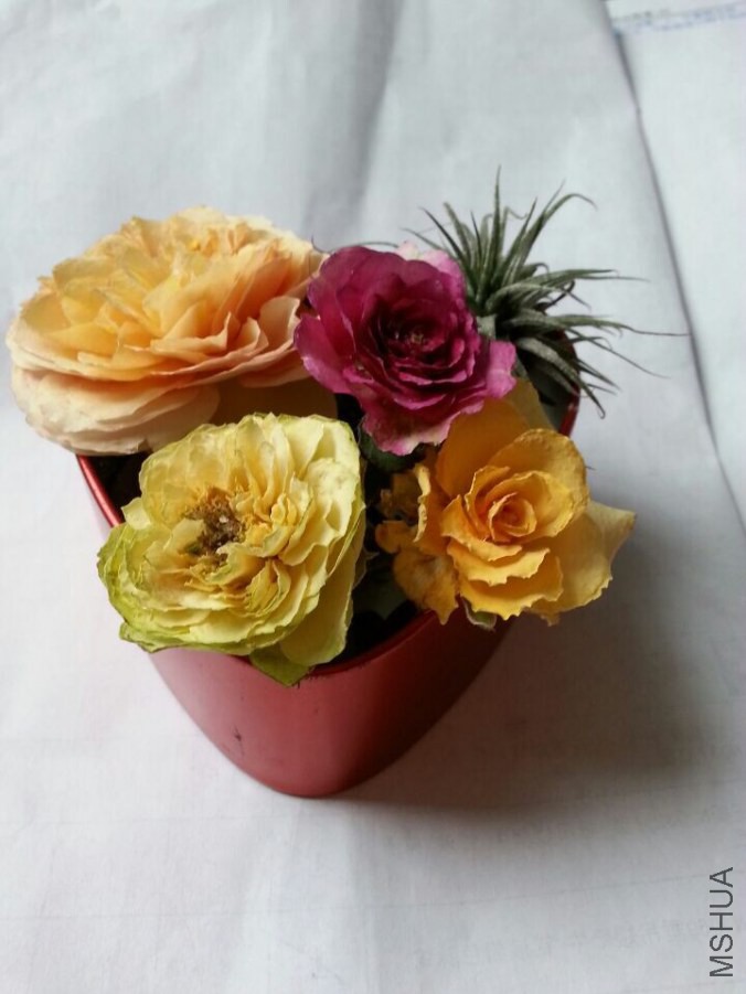 QQͼƬ20140829165633.jpg