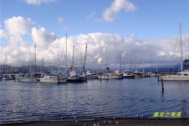 psb (96)_����.jpg