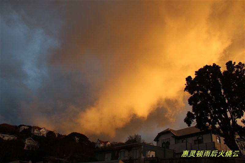 psb (99)_����.jpg