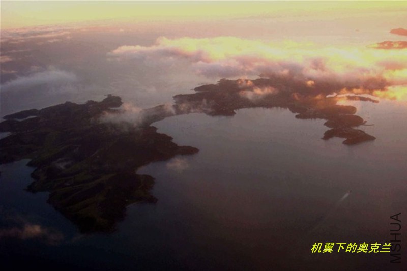 psb (100)_����.jpg