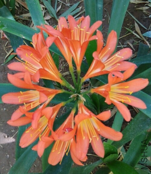 QQͼƬ20140830050909.jpg