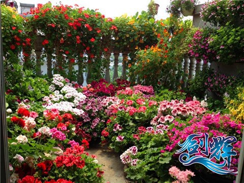 QQͼƬ20140507212906.jpg