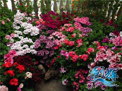 QQͼƬ20140518093011.jpg