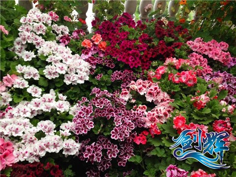 QQͼƬ20140518092950.jpg