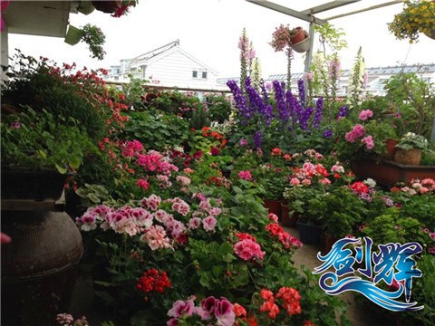 QQͼƬ20140518093033.jpg
