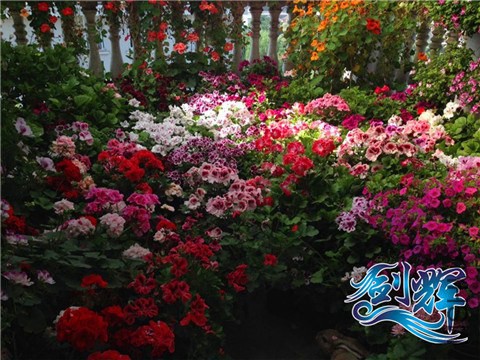 QQͼƬ20140518093319.jpg
