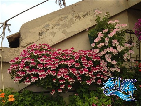 QQͼƬ20140520163937.jpg