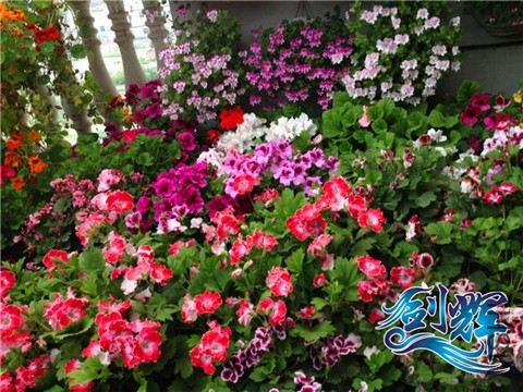 QQͼƬ20140521161516.jpg