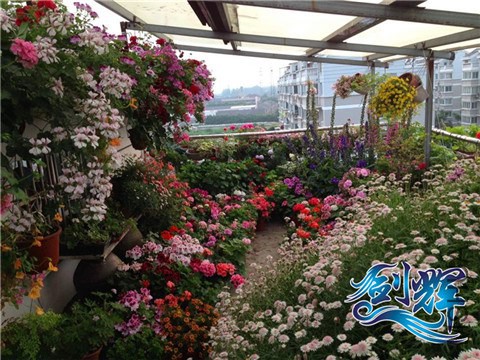 QQͼƬ20140521161532.jpg