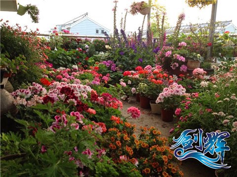 QQͼƬ20140521161528.jpg