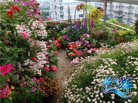 QQͼƬ20140521161845.jpg
