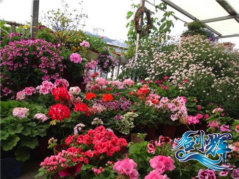 QQͼƬ20140521161934.jpg