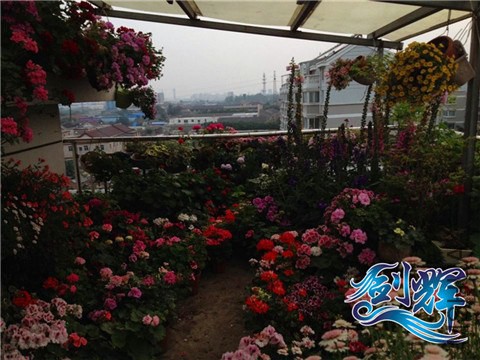 QQͼƬ20140521162031.jpg