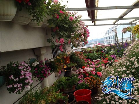 QQͼƬ20140521162048.jpg