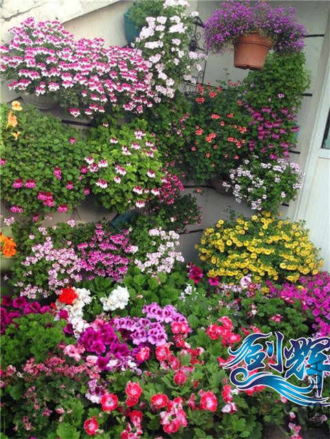 QQͼƬ20140523161125.jpg