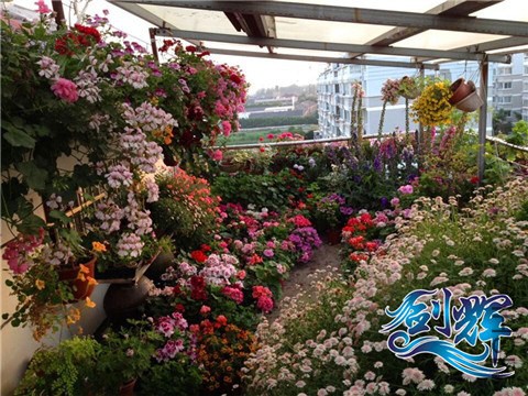 QQͼƬ20140527204559.jpg