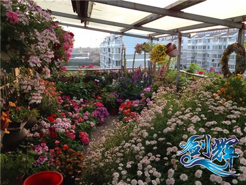 QQͼƬ20140527204619.jpg