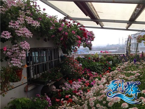 QQͼƬ20140527204818.jpg