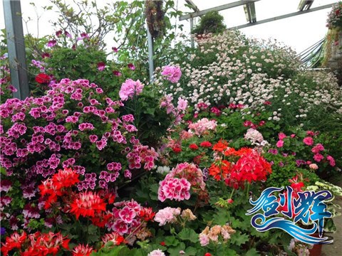 QQͼƬ20140527205020.jpg