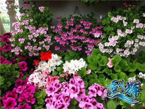 ���� QQͼƬ20140521161521.jpg