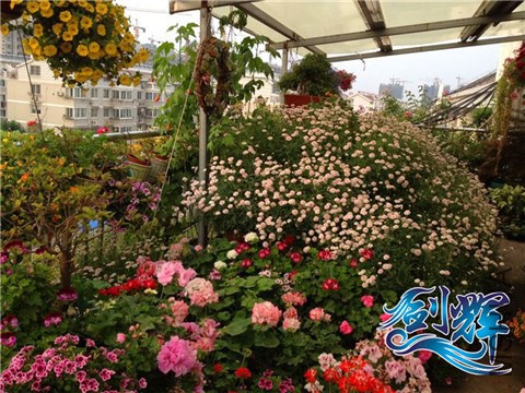 ���� QQͼƬ20140521161909.jpg