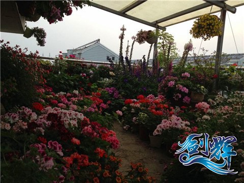 ���� QQͼƬ20140521162045.jpg