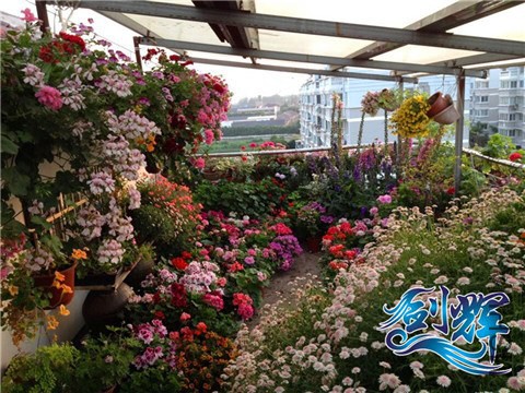 ���� QQͼƬ20140527204644.jpg