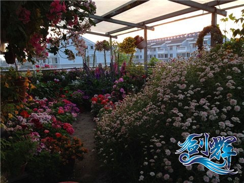 ���� QQͼƬ20140527204651.jpg