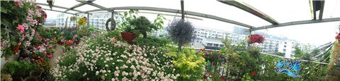 ���� QQͼƬ20140527205254.jpg