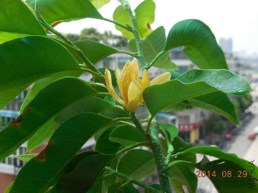 DSCN0461_meitu_1.jpg