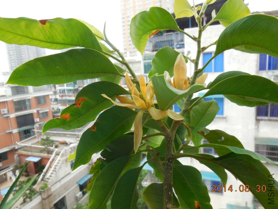 DSCN0464_meitu_4.jpg