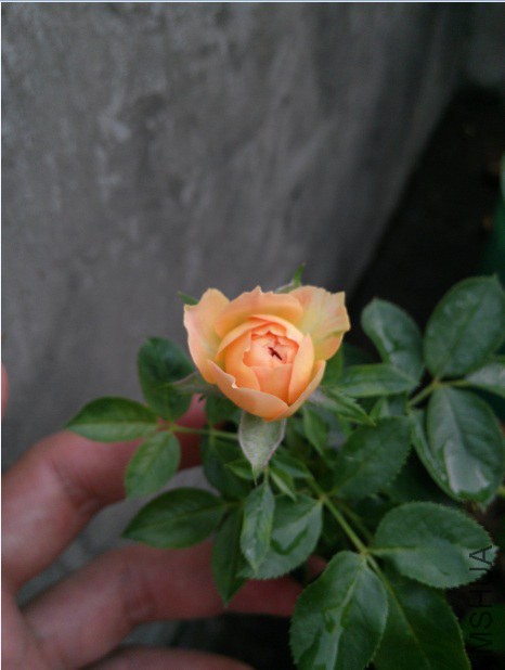 QQ��ͼ20140830174627.jpg