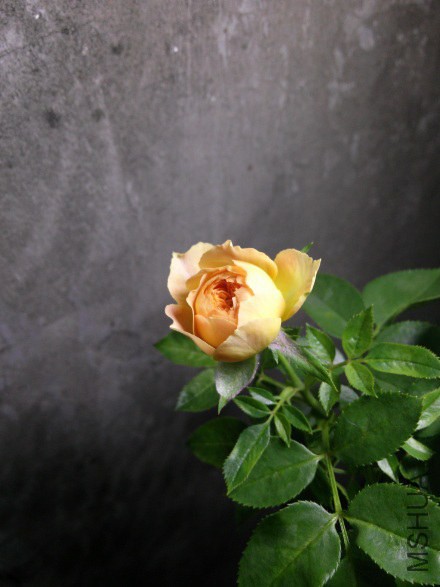 QQ��ͼ20140830174639.jpg