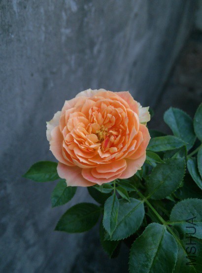 QQ��ͼ20140830174655.jpg
