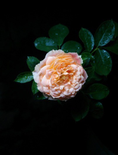 QQ��ͼ20140830174705.jpg