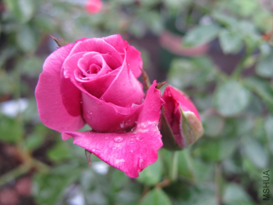 ��Ƭ3 048_����.jpg