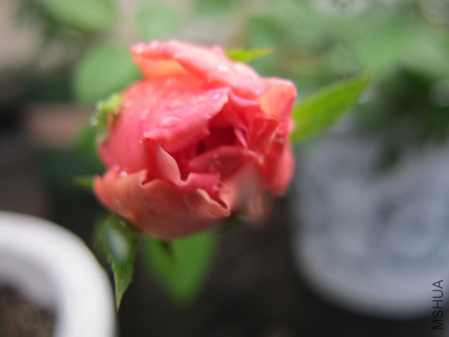 ��Ƭ3 041_����.jpg