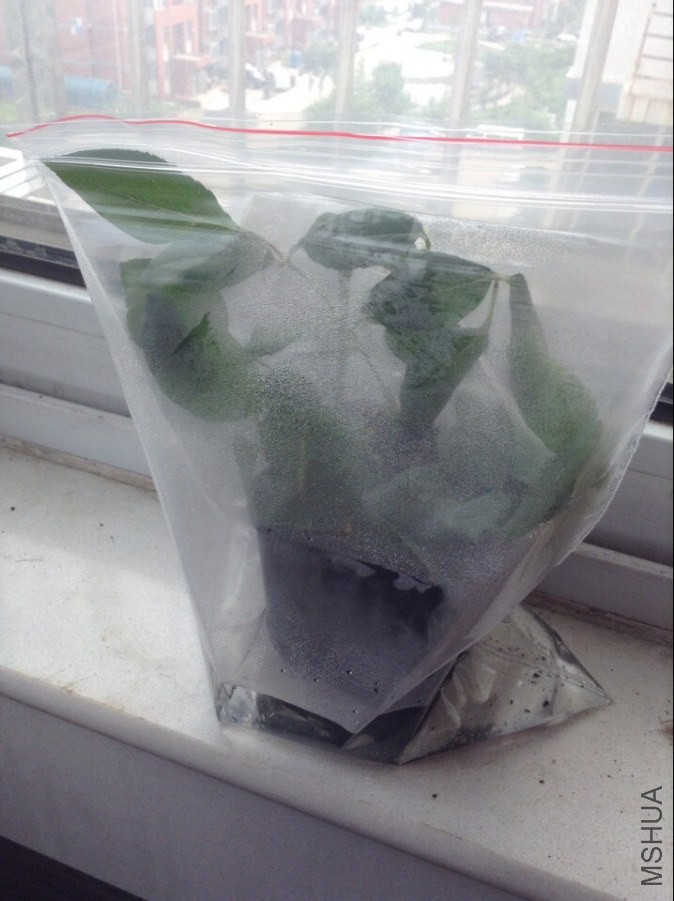 QQͼƬ20140831161613.jpg
